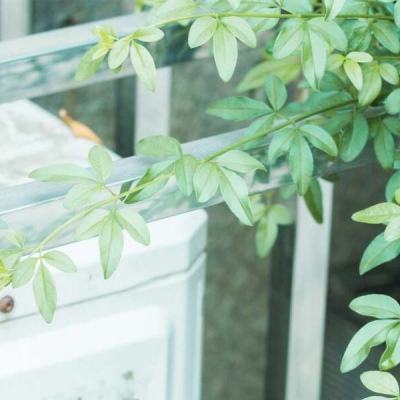 42982金牛网论坛