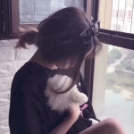 开云APP官方下载